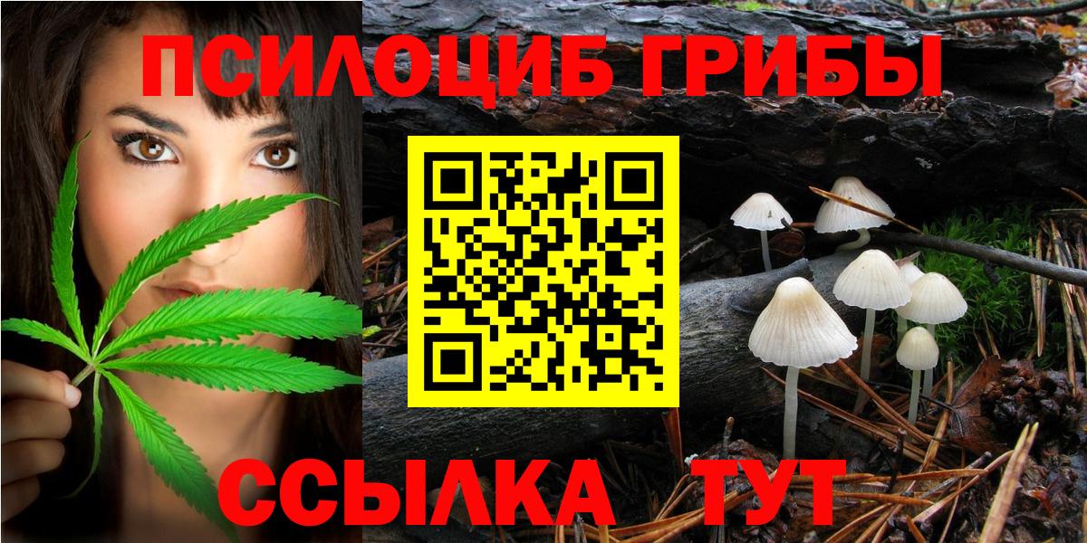 что такое   Вход с VPN  Ижевск  Галлюциногенные грибы Psilocybe  Псилоцибиновые грибы Psilocybe 